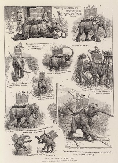El elefante que lo hizo de William Ralston